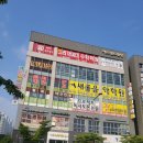 대한명인글씨교정 이미지