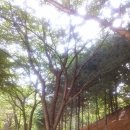 정발산경희한의원 이미지