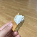 치즈당부천 | 부천 디저트 케이크 맛집 치즈당 카스테라 내돈내산 후기 보관방법