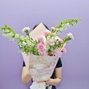 메이트로즈 - 유성구 온천동로65번길 39 | 메이트로즈