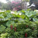 함평 경회루 이미지