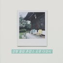 양평 감성 숙소 오후다섯시 초록뷰 고양이 힐링 촌캉스 후기