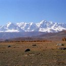 너른초원 이미지