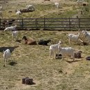 화수리농장 이미지