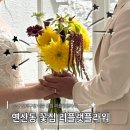 리플랫플라워 | 연산동꽃집 리플랫플라워 ㅣ 기본 꽃 다발 후기