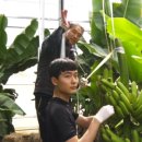 영걸농장 이미지