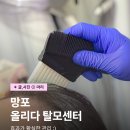 디비전스칼프 수원본점 | 망포 탈모 올리다 탈모센터 수원 두피 관리 추천