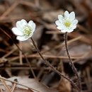 역사의 섬 영흥도 및 선재도를 걷다 - 영흥도 국사봉 등산로 등 다양한 트레킹 코스 이미지