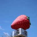 수변1공원 이미지