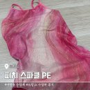 여행용 강습용 수영복 르망고 신상 피치 스파클 사이즈 후기