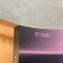 (재)한국등잔박물관 | 국립중앙박물관 블랙핑크 후기-전통 현대 K컬쳐 크로스오버