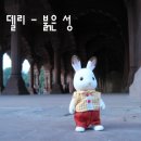 델리02