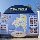 오빠야찜닭 | 안동 하회마을 구경 맛집 찜닭 고등어 맛집 솔밭 식당 내 돈 내산 후기