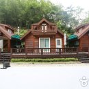 응아지 나루 이미지