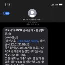 냉갱이 네이버블로그