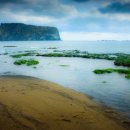 성산일출봉 Daum카페