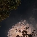 (주)대교운수 | 여의도 불꽃축제 - 명당 여의도한강공원 후기와 가는법(641번 버스)