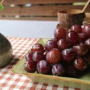 당골농원 이미지