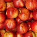 신비농장 이미지