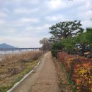 동면 생태친구들 이미지