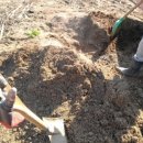 청해농장 이미지