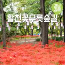구슬숲공원 주변 녹지 | 김해 활천꽃무릇숲길 부산 근교 가을 드라이브 나들이 가볼만한곳