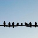 보랏빛민박 이미지