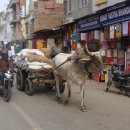 향내약국 이미지