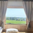 퐁낭에염 이미지