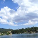 빅 베어 이미지