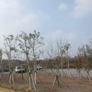 얼수(水)명촌화순사우나 | 제주도 가볼만한곳 제주도온천 얼수명촌 화순사우나