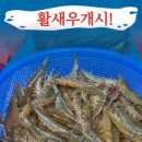 해물수산 이미지