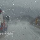 도둑골야영장 이미지