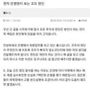 코프(김치프리미엄)의 원인이 정부의 규제 때문이라면? 이미지