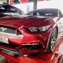 타이어프로 하양점 이미지