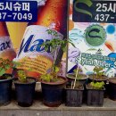 25시슈퍼 - 종로구 | 25시슈퍼