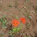 갈매농장 이미지