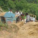 밀 마당 이미지