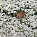 경성대학교 누리생활관 이미지