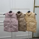 파라조