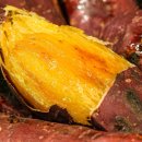 황금푸드 | 꿀맛 보장! 맛꾼푸드 블랙라벨 황금 꿀고구마 엿구마 솔직 후기