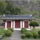 첨모당 이미지
