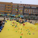 세정초등학교 이미지