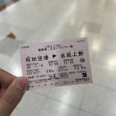 치래 | 나 홀로 당일치기 도쿄 여행🇯🇵