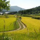 덕산저수지 이미지