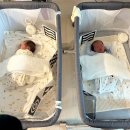 이노 | [쿠팡] 쌍둥이 쪽쪽이 고정 꿀템 이노테이프 후기 및 사용법