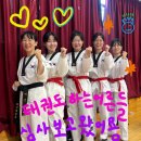 사자후 태권도 이미지