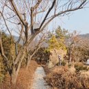 지에스(GS)25강화한옥 이미지