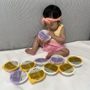 엘빈즈 이유식 엘빈즈 함량보장 ‘한우듬뿍 토핑 플러스’ 12개월 아기 추천