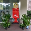 느린미학 이미지